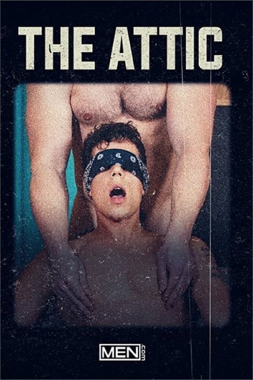 Постер: The Attic