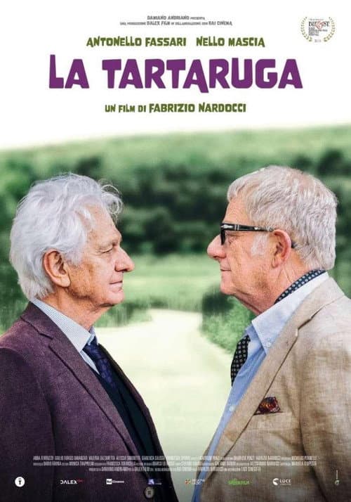 Постер: La tartaruga