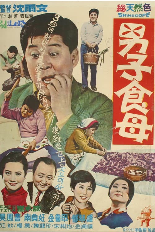 Постер: 남자식모