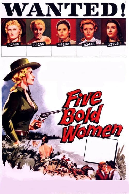 Постер: Five Bold Women