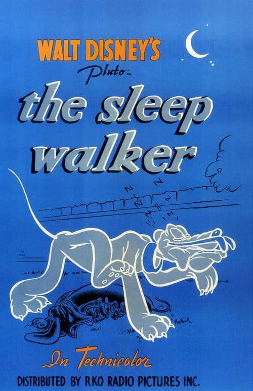 Постер: The Sleepwalker