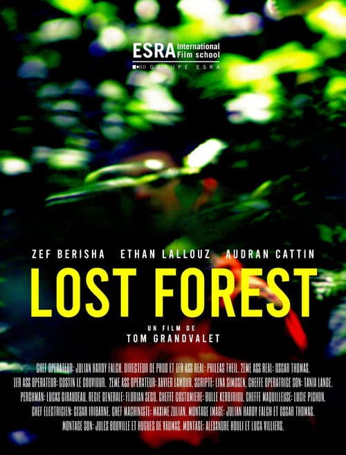 Постер: Lost Forest