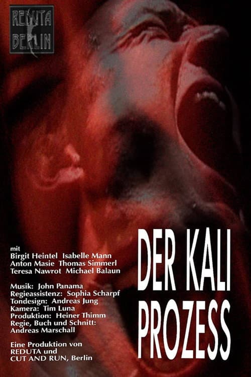 Постер: Der Kali Prozess