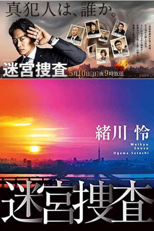 Постер: 迷宮捜査