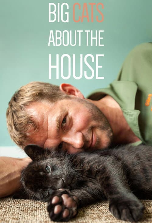 Постер: Big Cats About The House