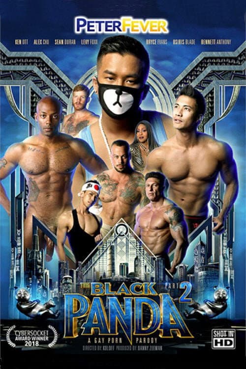 Постер: The Black Panda 2