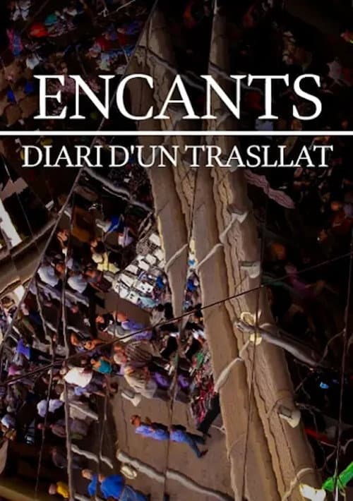 Постер: Encants, diari d'un trasllat
