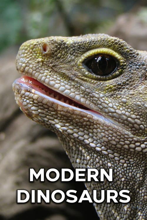 Постер: Modern Dinosaurs