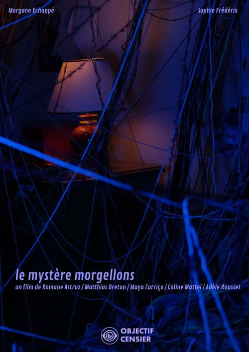 Постер: The Mystery of Morgellons