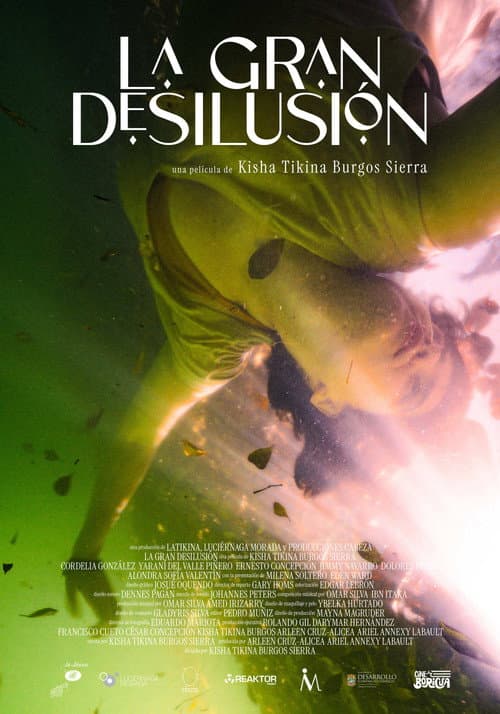 Постер: La Gran Desilusión