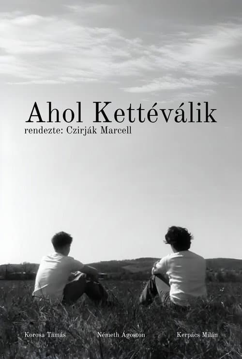 Постер: Ahol Kettéválik