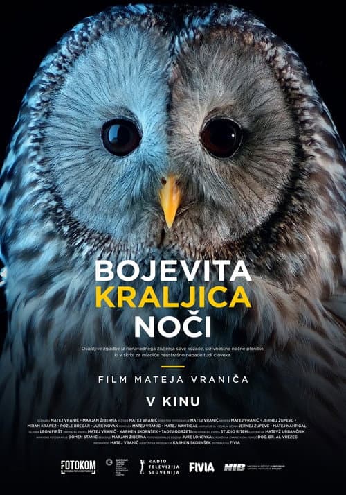 Постер: Bojevita kraljica noči