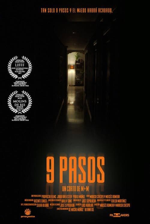 Постер: 9 pasos