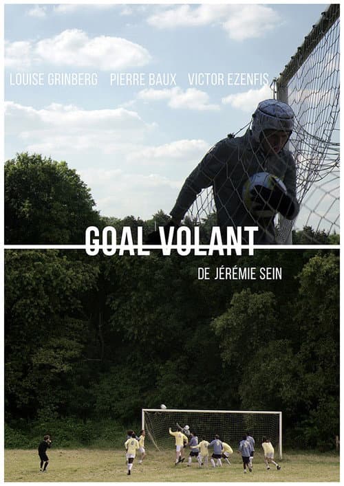 Постер: Goal Volant
