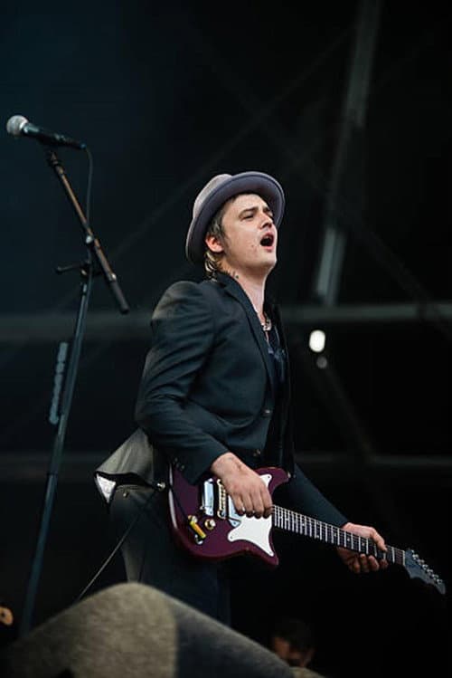 Постер: Babyshambles: Best Kept Secret Festival