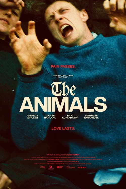 Постер: The Animals
