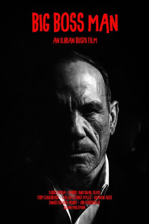 Постер: BIG BOSS MAN