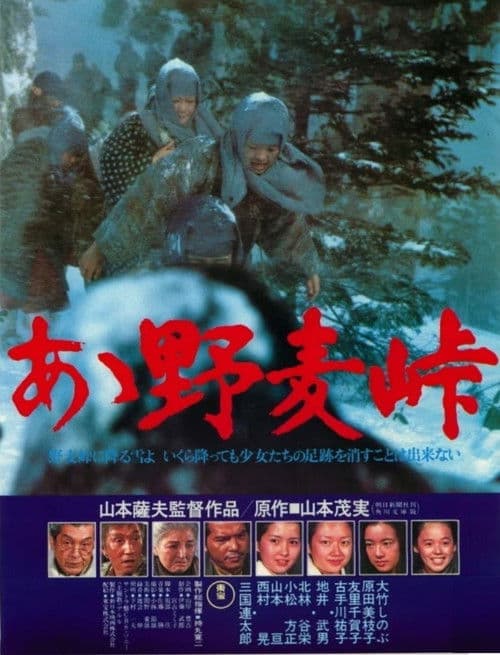 Постер: あゝ野麦峠
