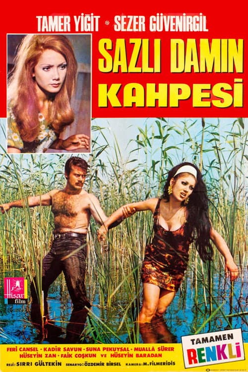 Постер: Sazlı Damın Kahpesi