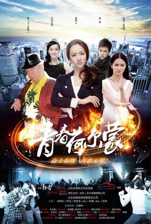 Постер: 青春荷尔蒙