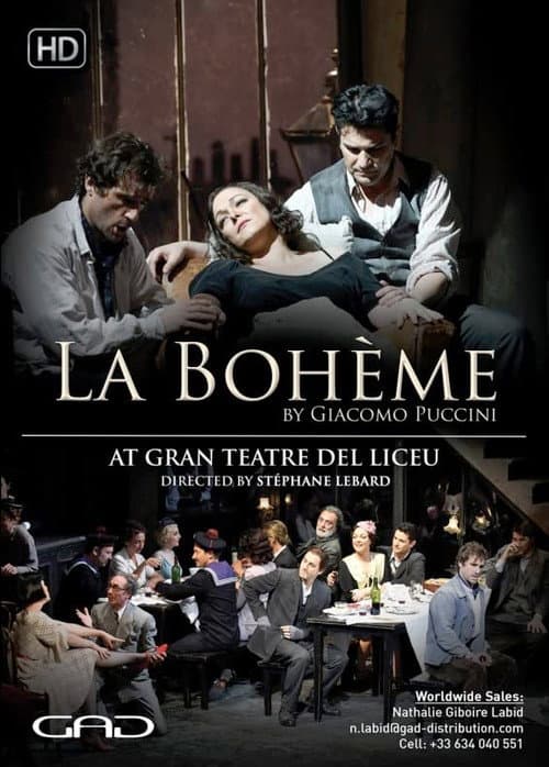 Постер: La bohème - Liceu