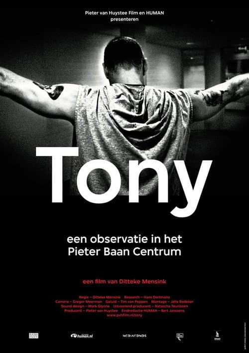 Постер: Tony