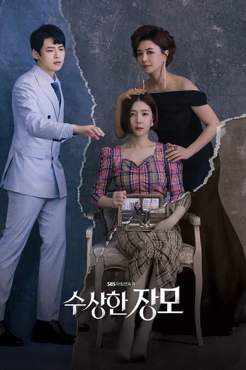 Постер: 수상한 장모