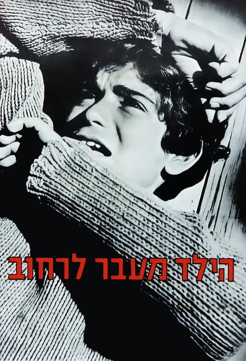 Постер: הילד מעבר לרחוב