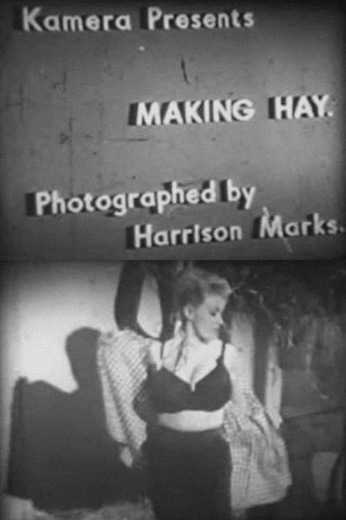 Постер: Making Hay