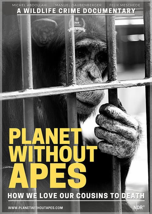 Постер: Planet ohne Affen