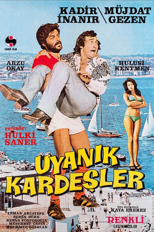 Постер: Uyanık Kardeşler