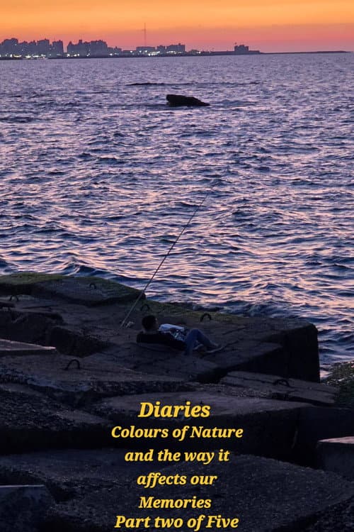 Постер: Diaries: Colours of Nature and the Way It Affects Our Memories.