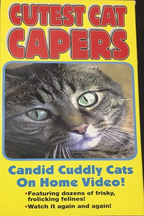 Постер: Cutest Cat Capers