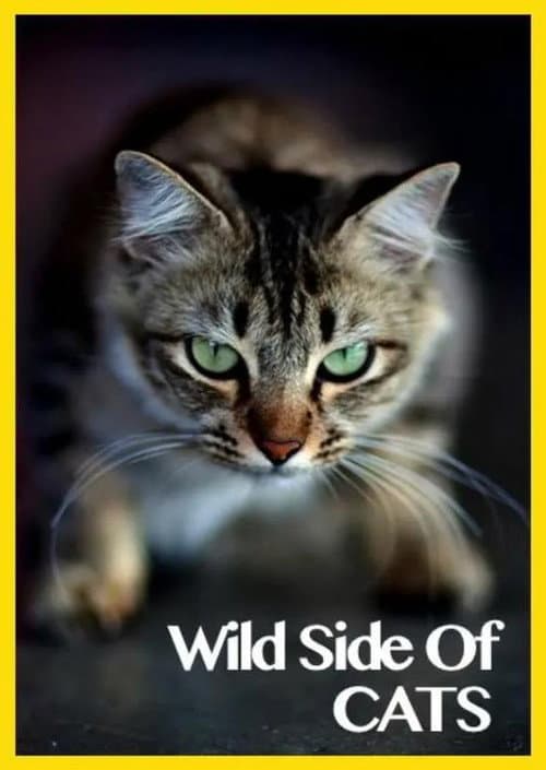 Постер: Wild Side of Cats