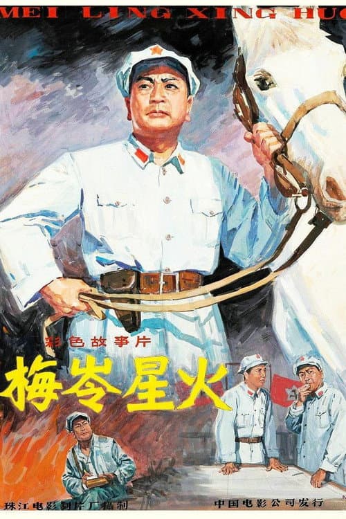 Постер: 梅岭星火