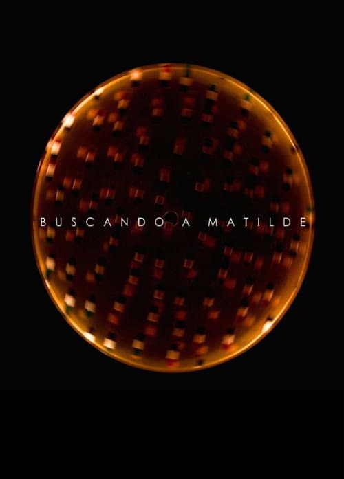 Постер: Buscando a Matilde