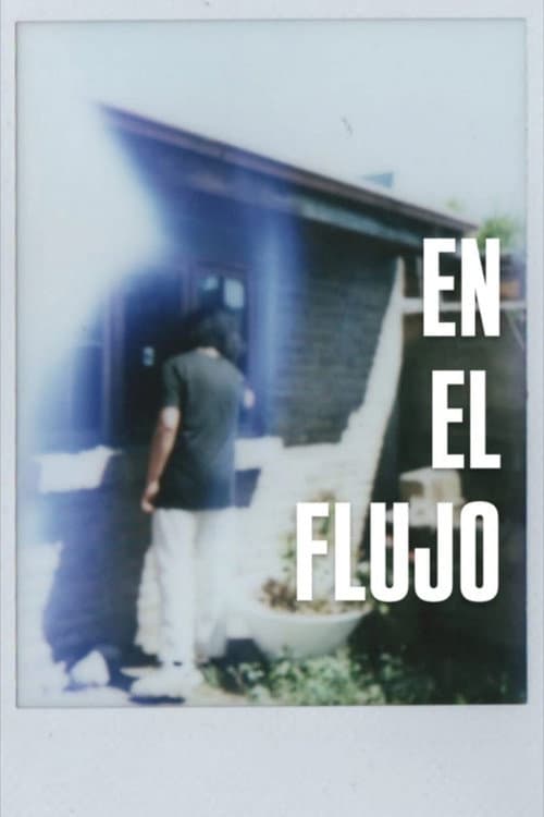 Постер: En el Flujo