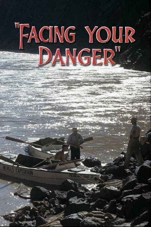 Постер: Facing Your Danger