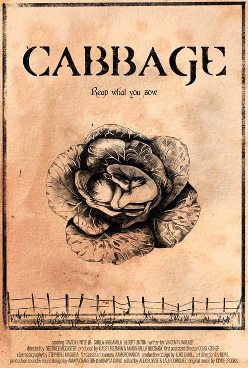 Постер: Cabbage