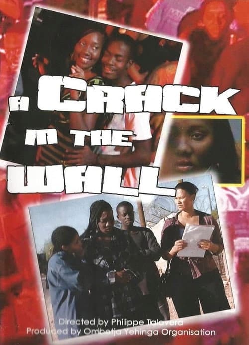 Постер: A Crack in the Wall