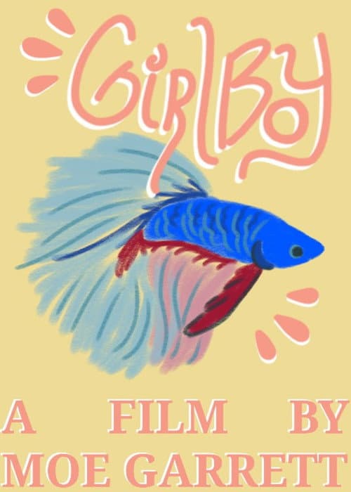 Постер: Girlboy