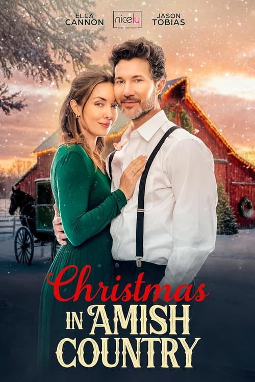 Постер: Christmas in Amish Country