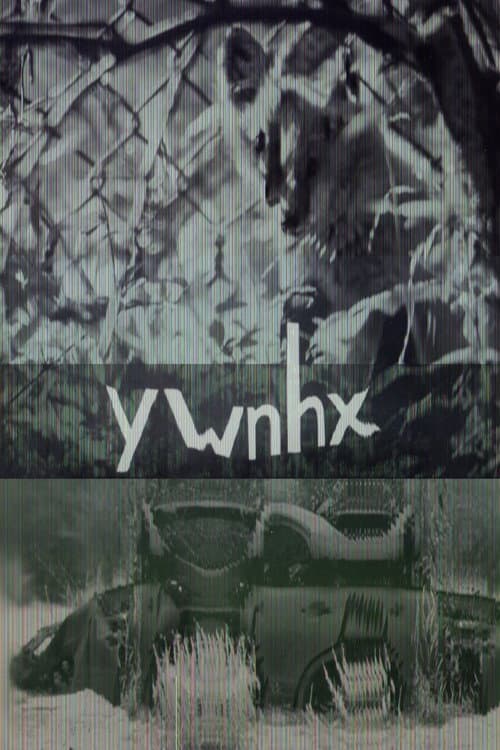 Постер: ywnhx