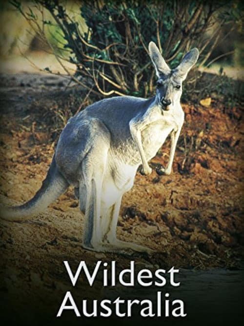 Постер: Wildest Australia