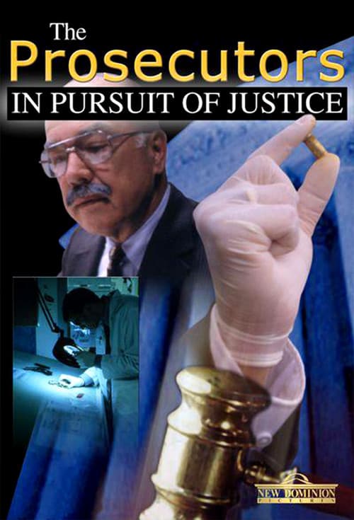 Постер: The Prosecutors: In Pursuit Of Justice