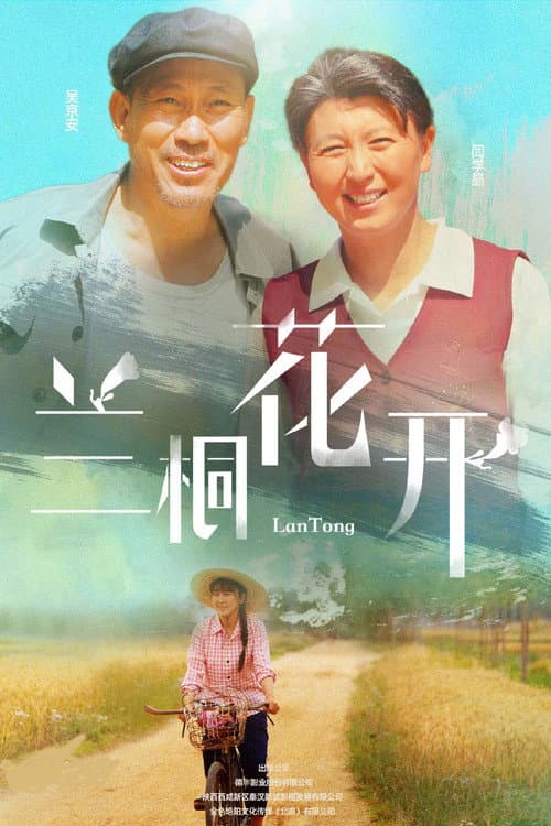 Постер: 兰桐花开