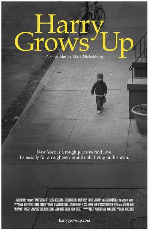 Постер: Harry Grows Up