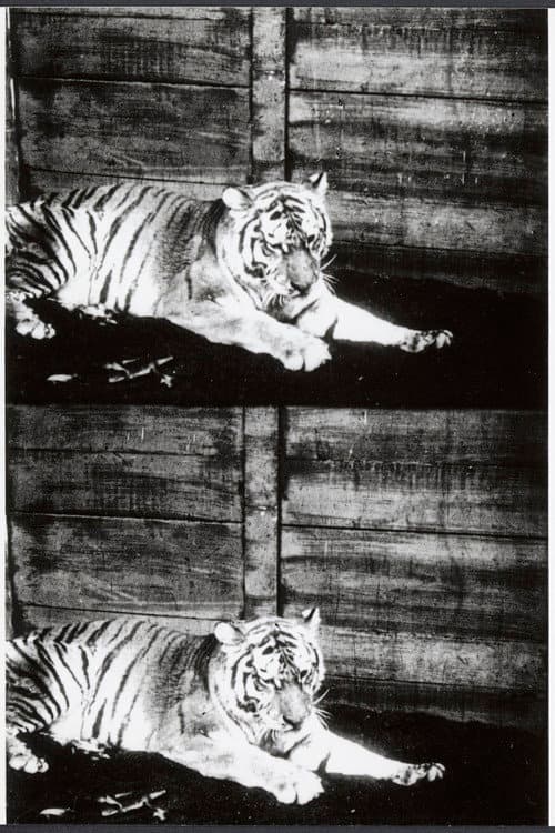 Постер: Beasts of the Jungle