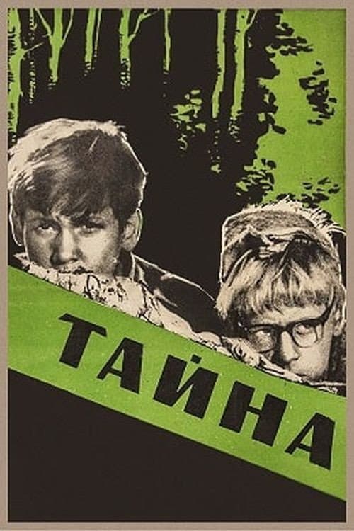 Постер: Тайна