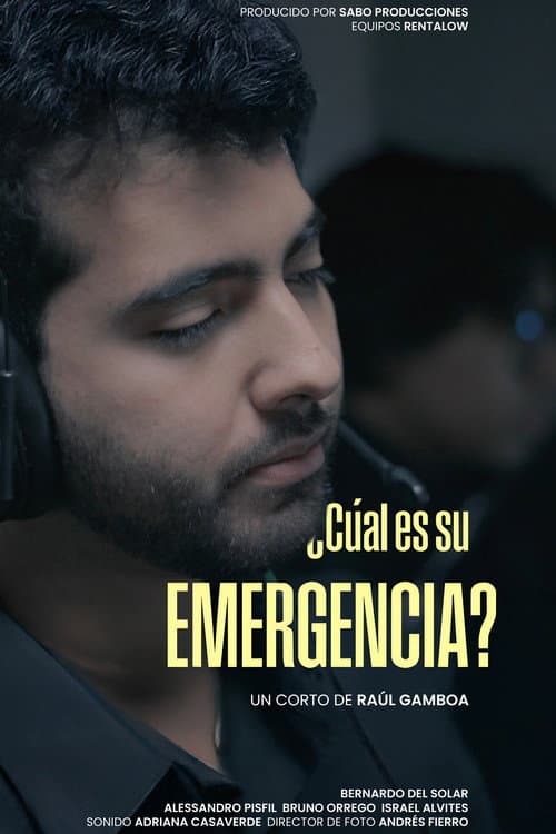 Постер: ¿Cuál es su emergencia?
